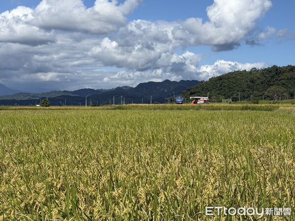 ▲▼馬太鞍堰塞湖警戒值已達黄色警戒。（圖／記者王兆麟翻攝資料照片，下同）