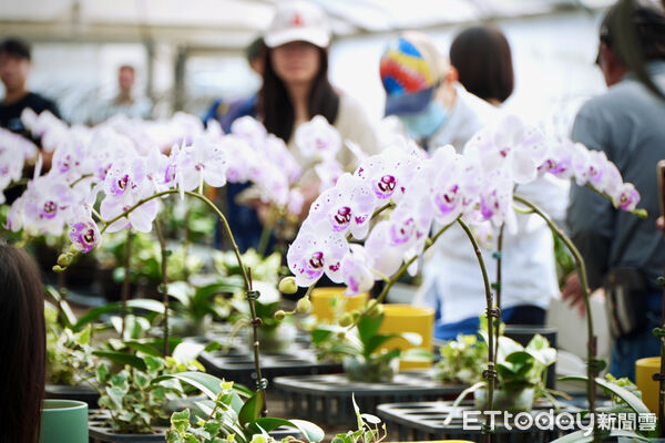 ▲▼   鹿草小旅行   。（圖／記者翁伊森攝）