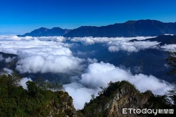 ▲▼    2025全球必訪旅遊勝地夢幻楓景、磅礡雲海登場阿里山賓館邀請生態攝影達人黃源明玩攝阿里山楓紅假期    。（圖／生態攝影達人黃源明提供）