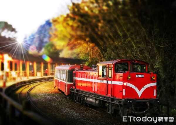 ▲▼    2025全球必訪旅遊勝地夢幻楓景、磅礡雲海登場阿里山賓館邀請生態攝影達人黃源明&rdquo;玩攝阿里山楓紅假期&rdquo;    。（圖／生態攝影達人黃源明提供）