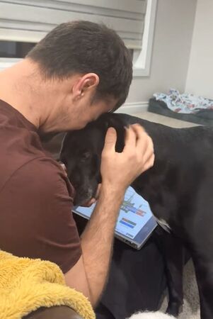 ▲。（圖／翻攝自TikTok／@rebelthestaffy_whippet）