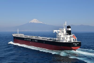 俄烏停火對散裝船運力需求有增有減　整體來看相對正面