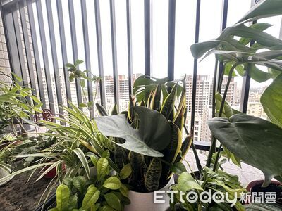 下雨「水全灌陽台」！女控瑕疵求償46萬　建商喊冤：那天是豪雨