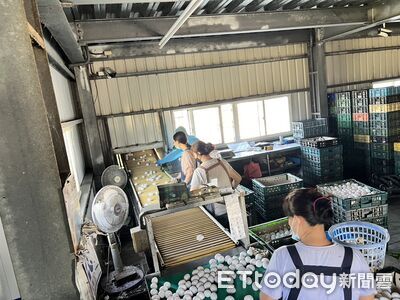 快訊／彰化毒蛋管制中竟流入市場　縣府認錯將懲處失職官員