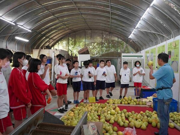 ▲新北打造永續學習場域新典範。（圖／新北市農業局提供）