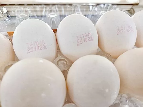 ▲▼市售雞蛋驗出芬普尼違規，應下架回收蛋品溯源編碼為「I47045」。（圖／彰化縣衛生局提供）