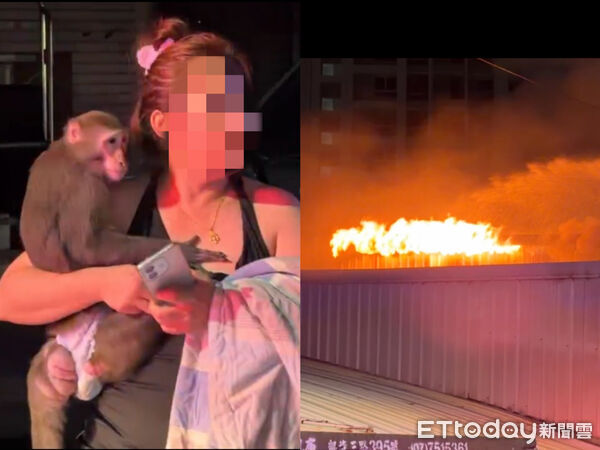 ▲▼高雄凌晨火舌吞噬民宅！鐵皮屋起火延燒　「女抱愛猴」驚險逃生。（圖／記者吳世龍翻攝）