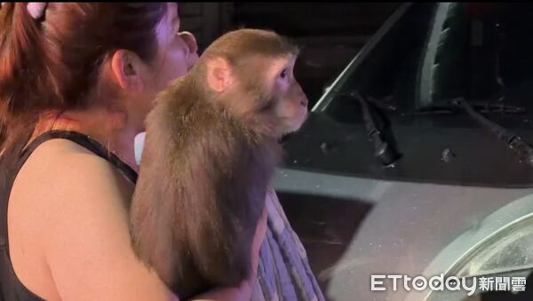 ▲▼高雄凌晨火舌吞噬民宅！鐵皮屋起火延燒　「女抱愛猴」驚險逃生。（圖／記者吳世龍翻攝）