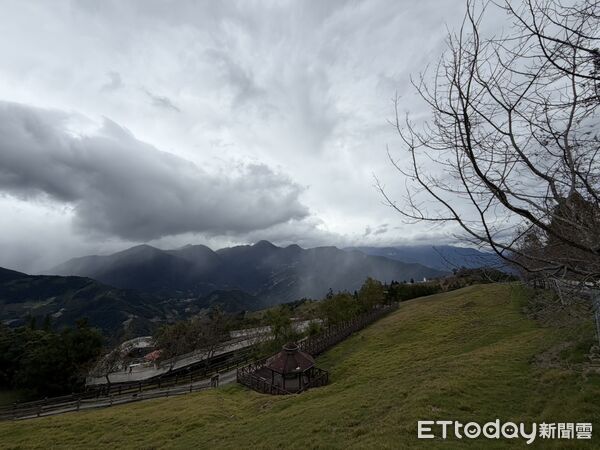 ▲清境農場加速進行防颱準備工作。（圖／清境農場提供）