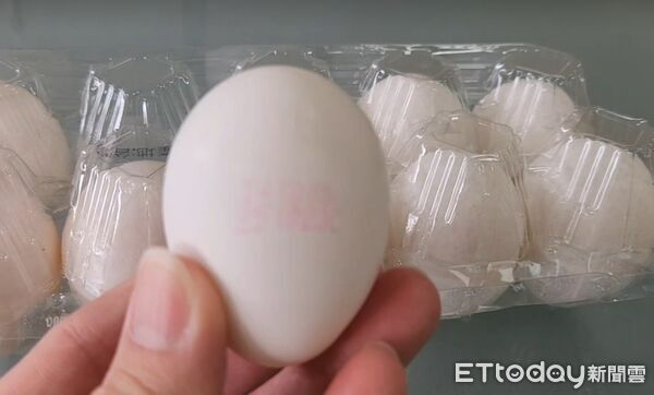 ▲彰化縣普芬尼蛋場稽查。（圖／縣府提供）