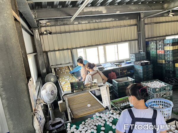 ▲彰化縣普芬尼蛋場稽查。（圖／縣府提供）