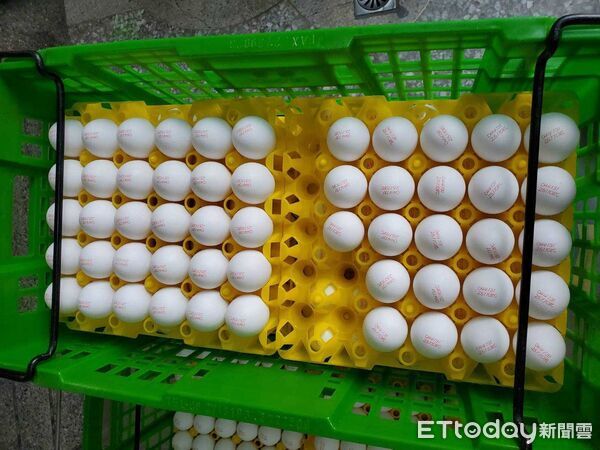 ▲台南市教育局完成校園午餐蛋品全面清查，確認未使用芬普尼相關批號。（記者林東良翻攝，下同）
