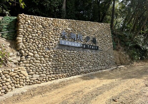 沿途蜻蜓豆娘多又多　桃園大棟山「大湖之森」步道完工