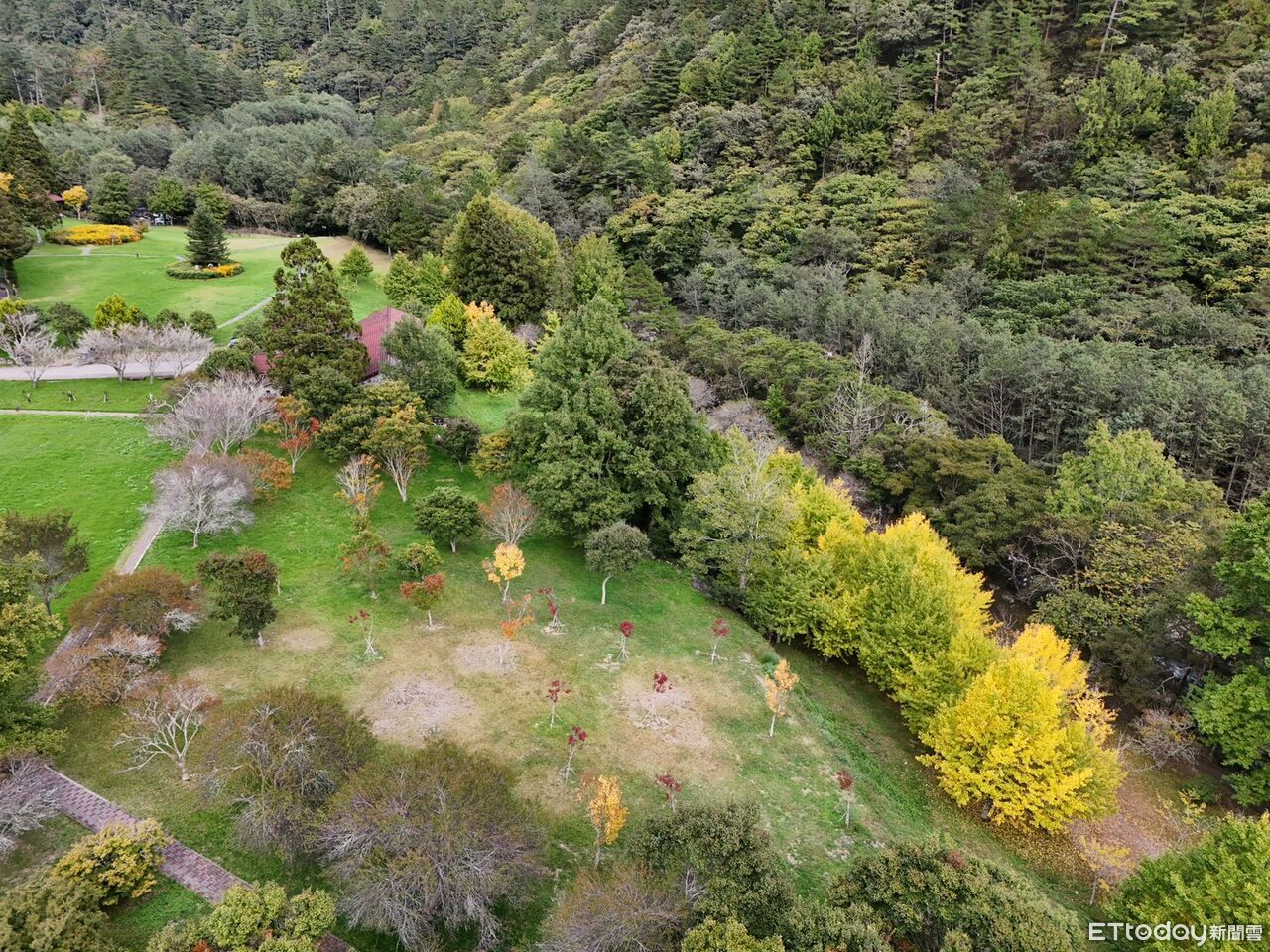 鳳凰來勢洶洶!武陵農場明日下午起休園 預約客可取消或延期