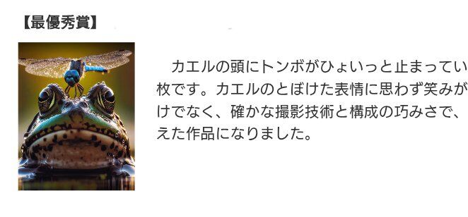 ▲▼日攝影大賽首獎「竟是免費AI圖」！　還在美術館展出。（圖／翻攝X）