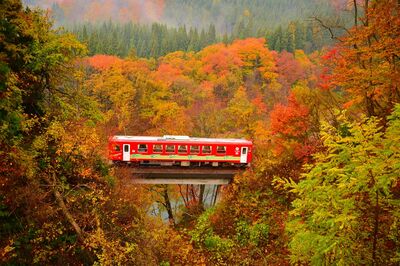 秋田必玩2條鐵道!搭微笑列車穿過綠色隧道 玩具列車賞療癒山景