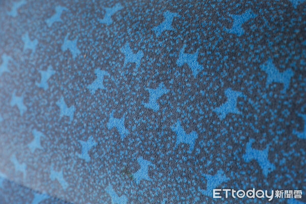 ▲▼秋田內陸縱貫鐵道。（圖／記者蔡玟君攝）