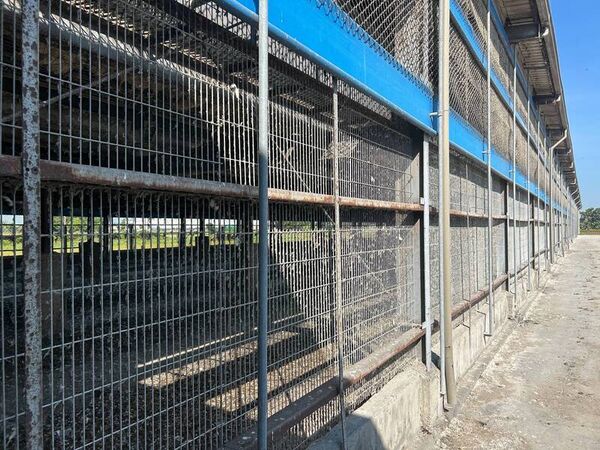 ▲彰化文雅畜牧場驗出雞蛋含芬普尼，停止出貨調查中。（圖／彰化縣政府提供）