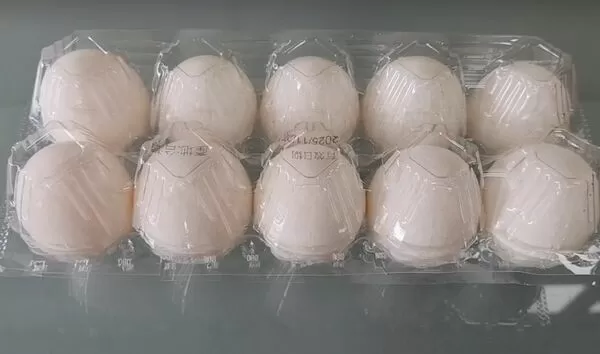 ▲彰化文雅畜牧場驗出雞蛋含芬普尼，停止出貨調查中。（圖／彰化縣政府提供）