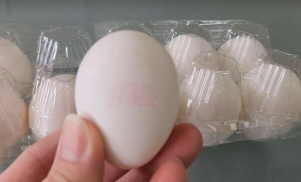 ▲彰化文雅畜牧場驗出雞蛋含芬普尼，停止出貨調查中。（圖／彰化縣政府提供）