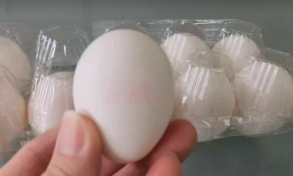 ▲彰化文雅畜牧場驗出雞蛋含芬普尼，停止出貨調查中。（圖／彰化縣政府提供）