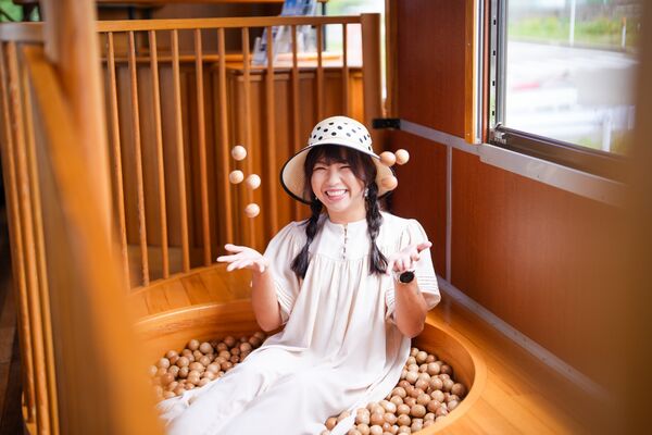 ▲▼由利高原鐵道玩具列車。（圖／老田鬧著玩粉絲團授權提供，請勿翻攝）