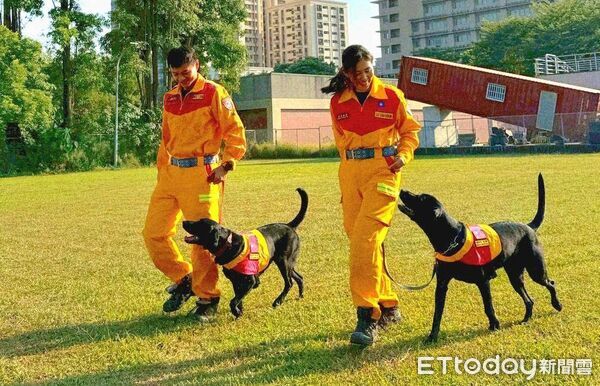 ▲基隆2搜救犬通過國際認證投入實戰。（圖／記者郭世賢翻攝）