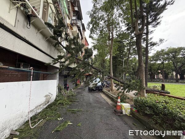▲▼             。（圖／記者黃宥寧翻攝）