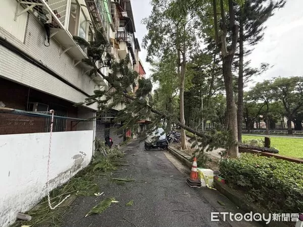 ▲▼             。（圖／記者黃宥寧翻攝）