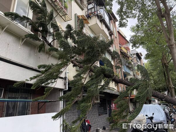 ▲▼             。（圖／記者黃宥寧翻攝）