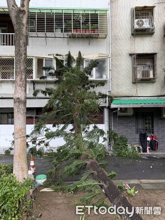 ▲▼             。（圖／記者黃宥寧翻攝）