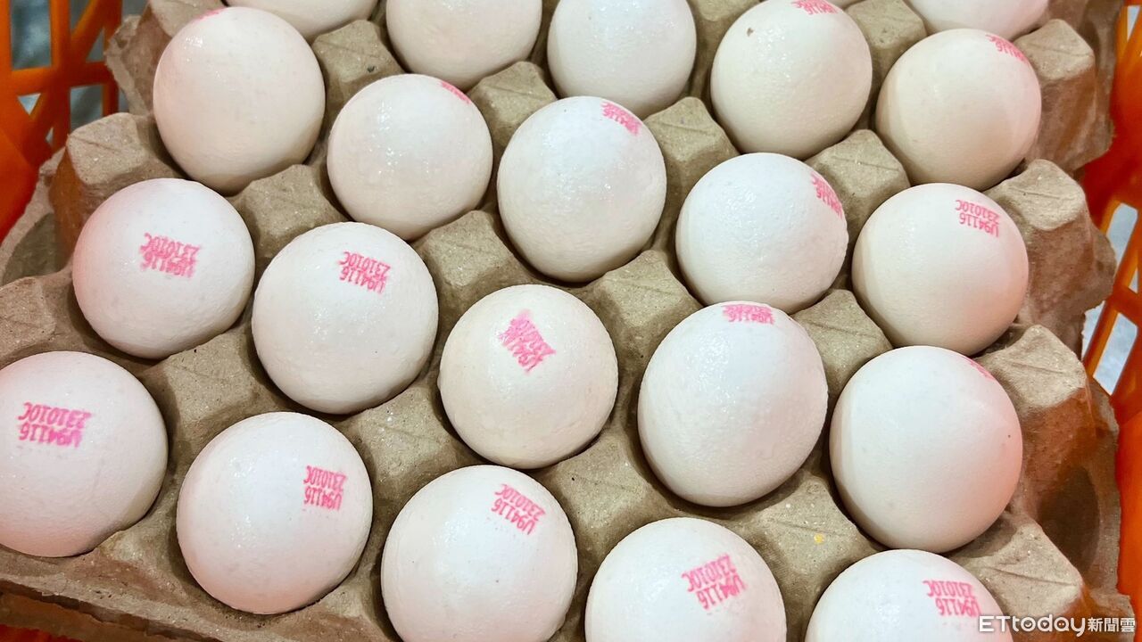 基隆校園午餐嚴格把關　防杜農藥超標蛋流入校園