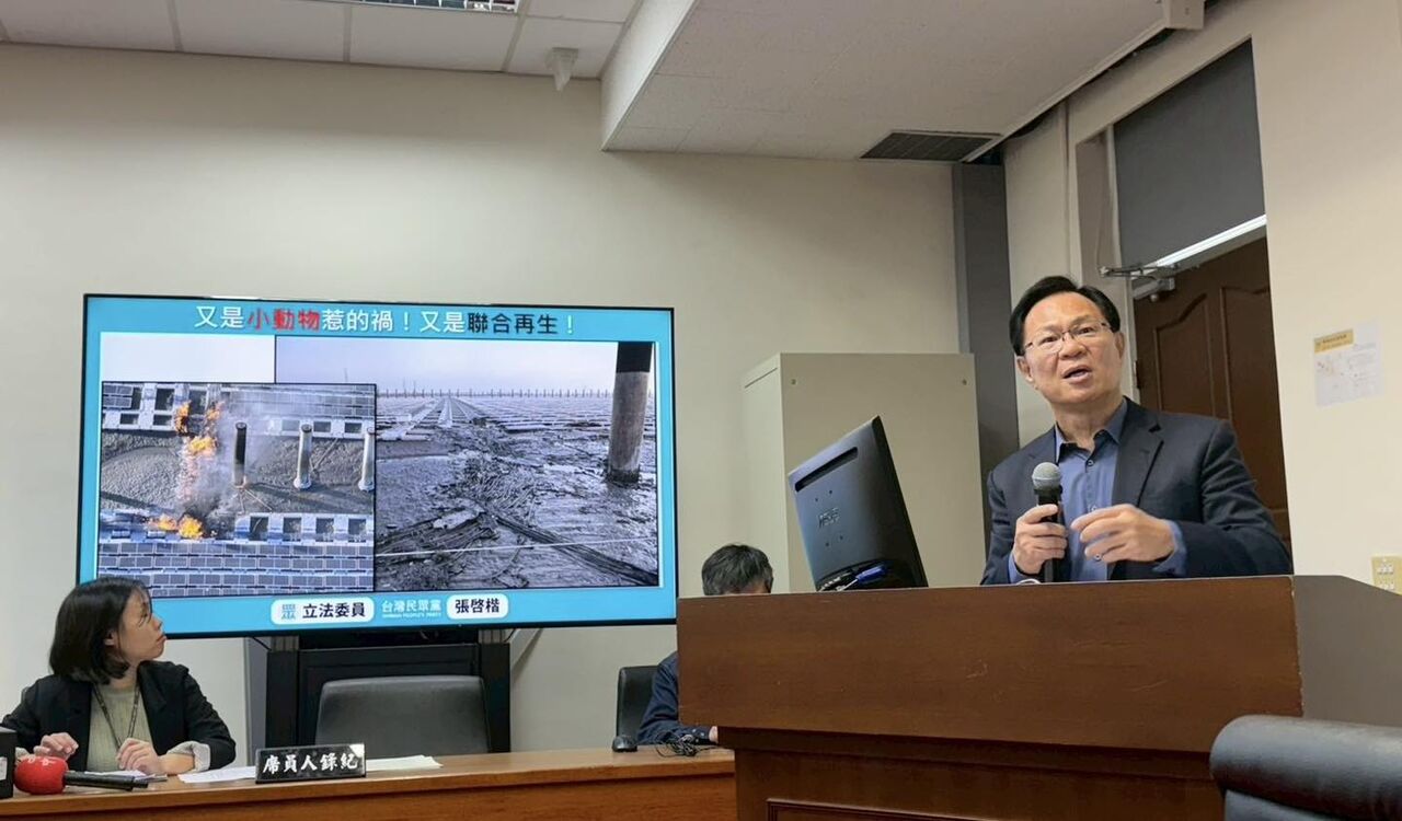 彰濱水上光電板火災「老鼠咬的」 白委籲詳查:別推給動物