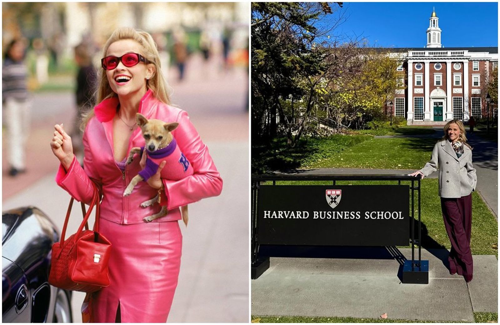 瑞絲薇斯朋過去演出《金法尤物》（左圖）聲名大噪，時隔24年重返哈佛（右圖）。（翻攝IMDb／reesewitherspoon IG）