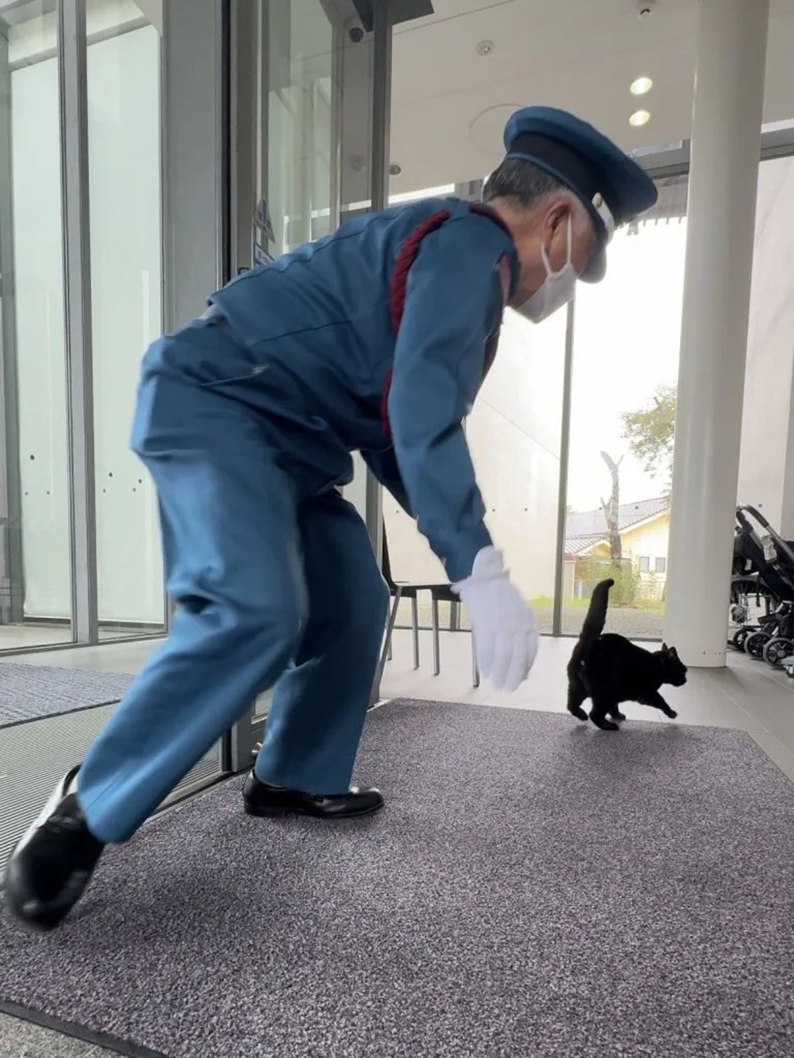 去年4月，小健終於在一次互動中成功「突破防線」。（翻攝畫面）