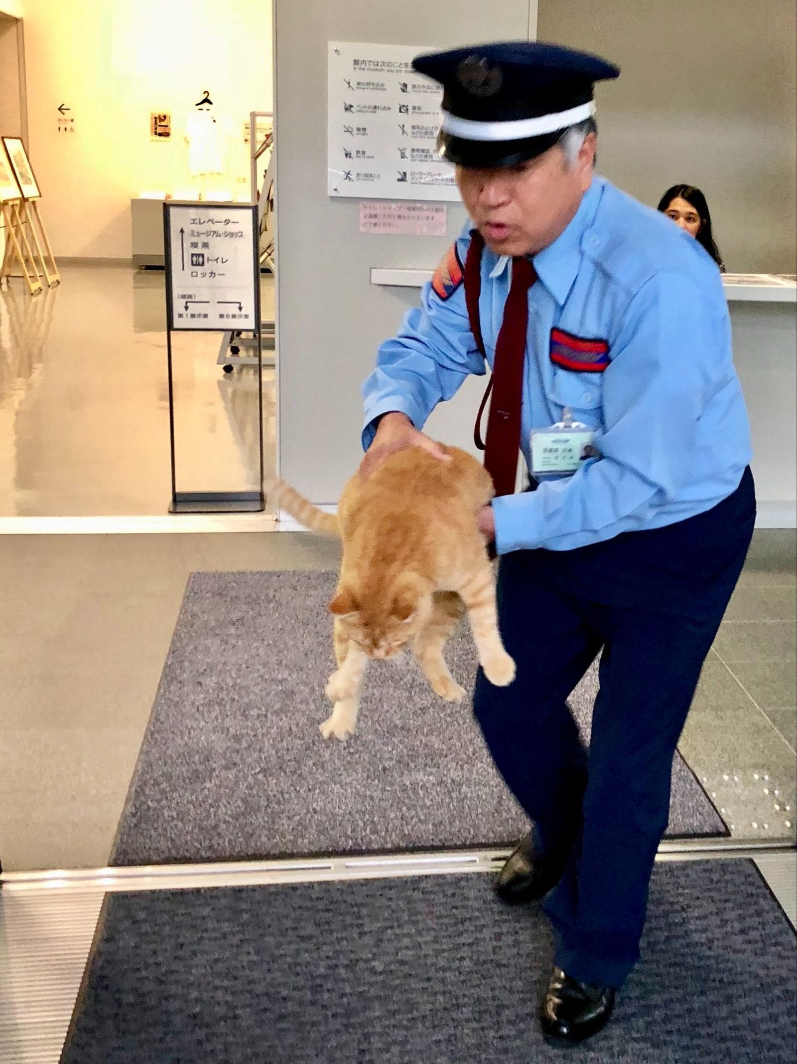 另一隻試圖闖入美術館的貓咪GO。（翻攝自尾道市立美術館Ｘ）