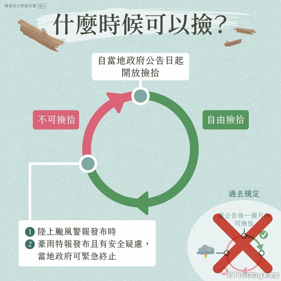 颱風來襲！屏東漂流木自由撿拾公告即刻失效　勿入山河區域撿拾
