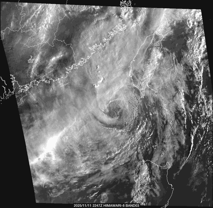 （圖／翻攝easterlywave）