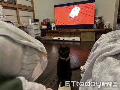 誤會一場!吃枇杷膏「被當肉泥小偷」 黑貓踩拖鞋施壓眼神超疑惑