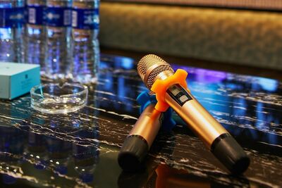 KTV神曲是它!業者認證「每5間包廂就1間點唱」:找不到第2首