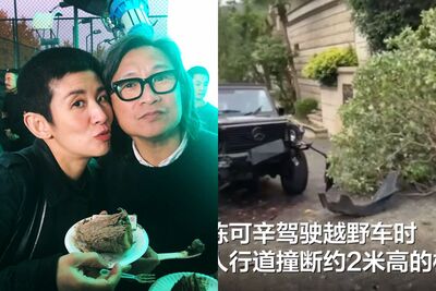 吳君如名導男友陳可辛出車禍！　「撞倒2米路樹」原因曝被讚善良