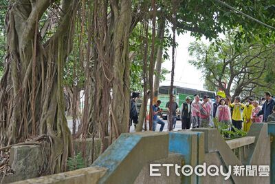 鳳凰來襲！雲林崙背豐榮村「綠色隧道」啟動預警性封閉作業