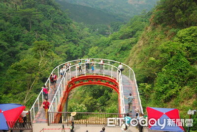 竹山梯子吊橋園區擬建高空纜車　中寮鄉龍鳳瀑布空中步道將拆除