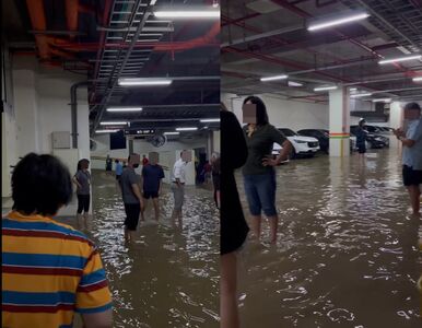 30多台車泡水　煙波飯店：房費全免、配合理賠補償