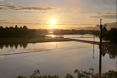 宜蘭擋下「鳳凰第一槍」今早出太陽　網：長這麼大第一次看