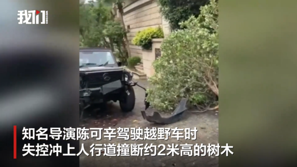 ▲▼吳君如名導男友陳可辛出車禍！　「撞倒2米路樹」原因曝被讚善良。（圖／翻攝自微博／新京報）