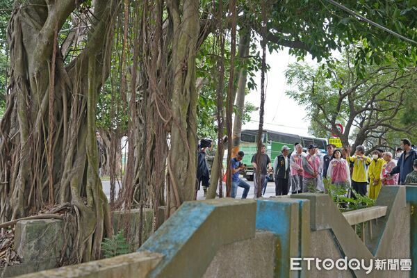 ▲崙背鄉豐榮村154線（綠色隧道）進行防災封路。（圖／記者游瓊華翻攝）