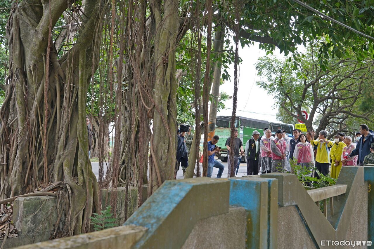 鳳凰來襲！雲林崙背豐榮村「綠色隧道」啟動預警性封閉作業