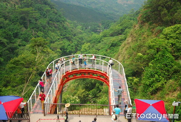 竹山梯子吊橋園區擬建高空纜車 中寮鄉龍鳳瀑布空中步道將拆除