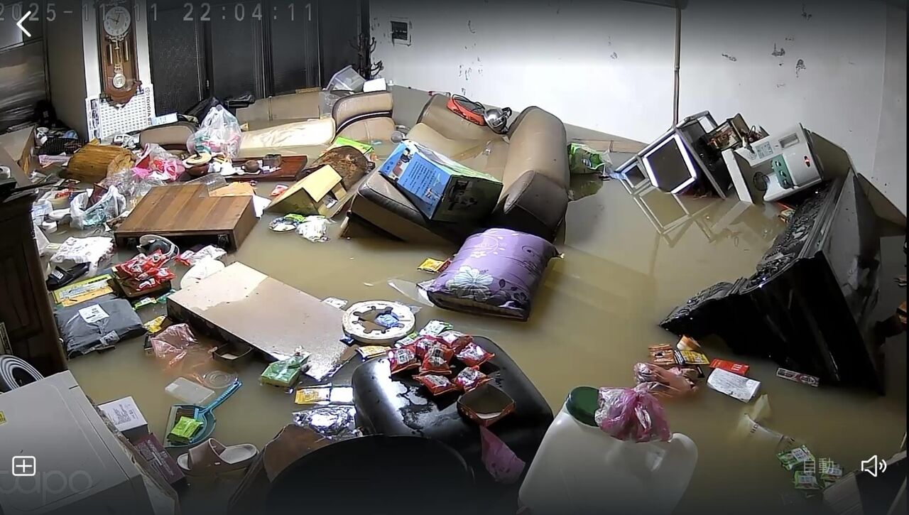 宜蘭淹水!家具全漂起如「諾亞方舟」 鏟屎官為貓主留守家園